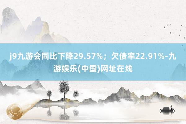 j9九游会同比下降29.57%；欠债率22.91%-九游娱乐(中国)网址在线