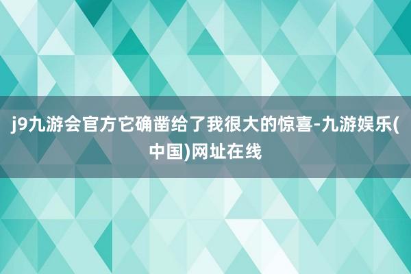 j9九游会官方它确凿给了我很大的惊喜-九游娱乐(中国)网址在线