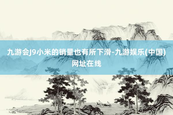 九游会J9小米的销量也有所下滑-九游娱乐(中国)网址在线