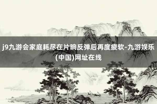 j9九游会家庭耗尽在片晌反弹后再度疲软-九游娱乐(中国)网址在线