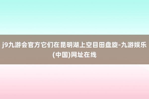j9九游会官方它们在昆明湖上空目田盘旋-九游娱乐(中国)网址在线