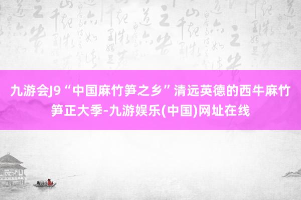 九游会J9“中国麻竹笋之乡”清远英德的西牛麻竹笋正大季-九游娱乐(中国)网址在线