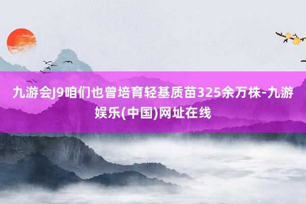 九游会J9咱们也曾培育轻基质苗325余万株-九游娱乐(中国)网址在线