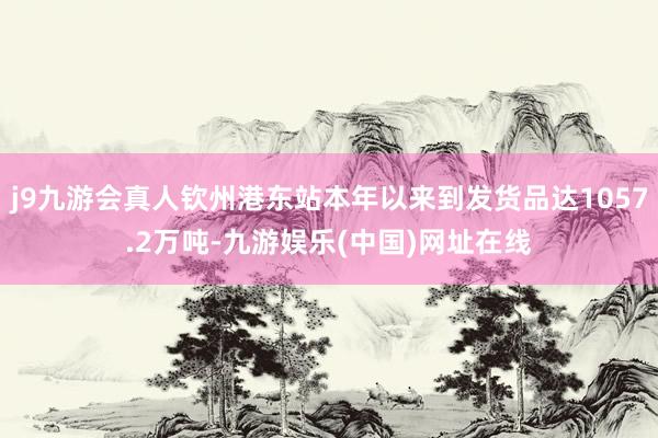 j9九游会真人钦州港东站本年以来到发货品达1057.2万吨-九游娱乐(中国)网址在线